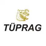 Referanslarımız Yön Epoksi